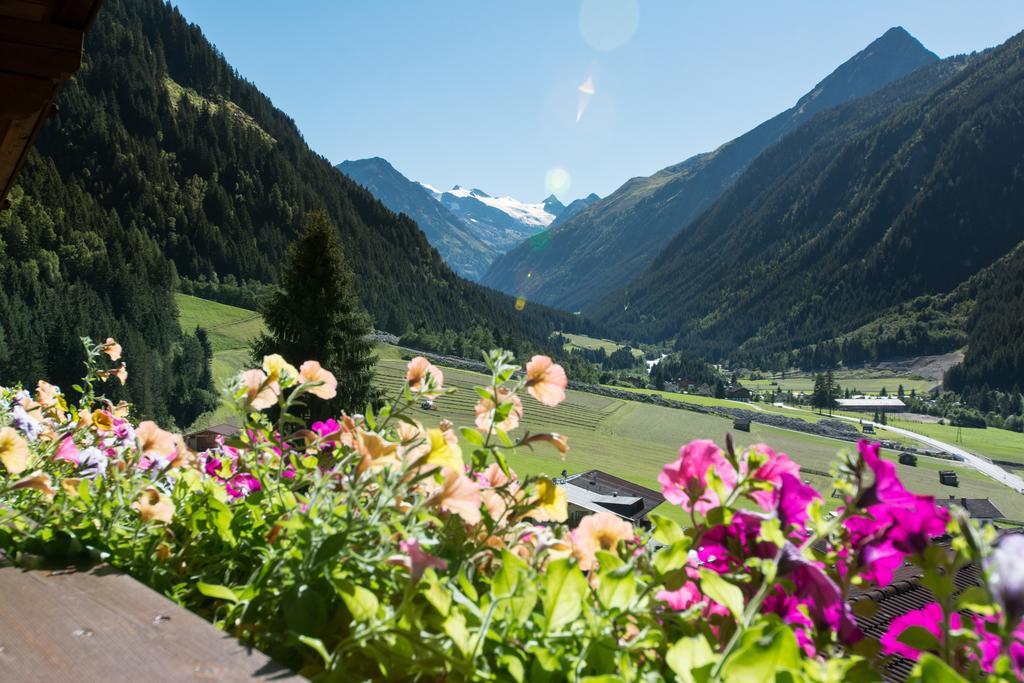 Haus Mary Διαμέρισμα Neustift im Stubaital Εξωτερικό φωτογραφία